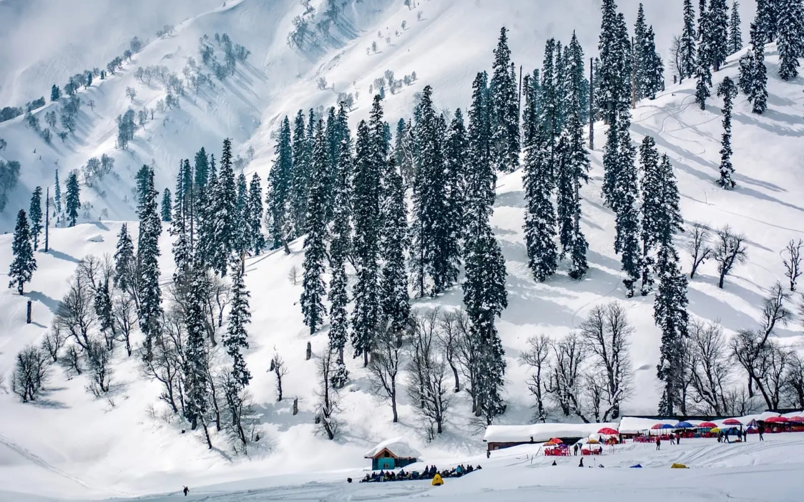 Kashmir 7 Days Premium Tour Package
